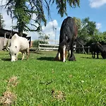 Natuurhuisje Pmv Holiday home *