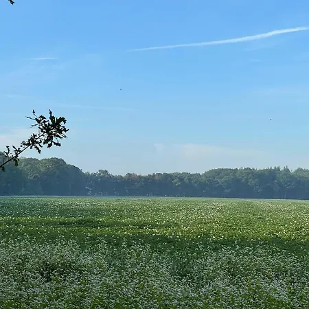 Natuurhuisje Pmv Nyaraló