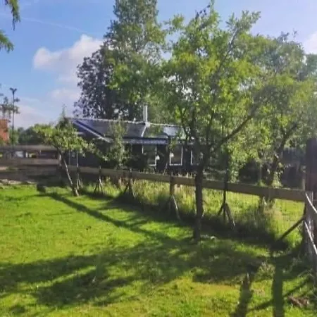 Natuurhuisje Pmv Casa de Férias Hoogeloon