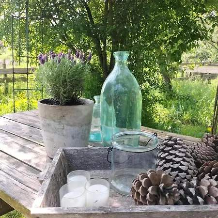 Natuurhuisje Pmv * Hoogeloon