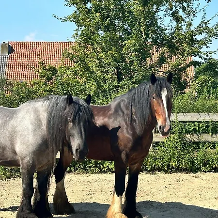 Ferienhaus Natuurhuisje Pmv