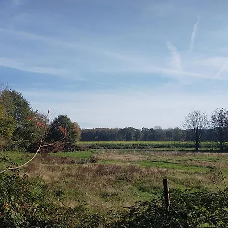 Ferienhaus Natuurhuisje Pmv Hoogeloon