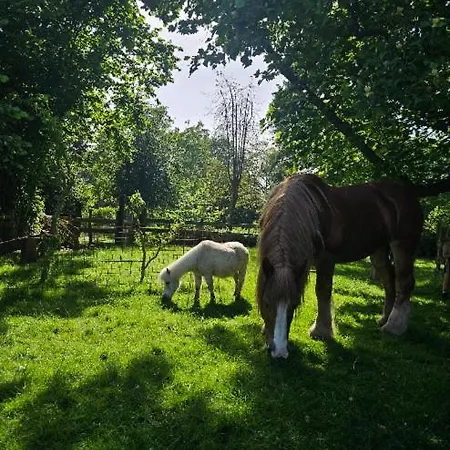 Natuurhuisje Pmv Hébergement de vacances *