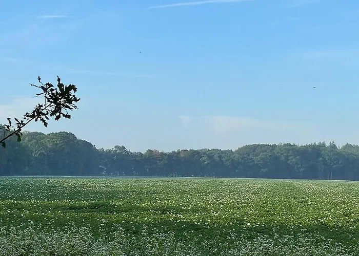 Natuurhuisje Pmv Casa de Férias