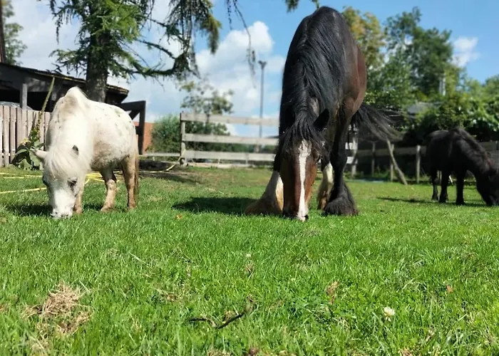 Natuurhuisje Pmv Casa de Férias *