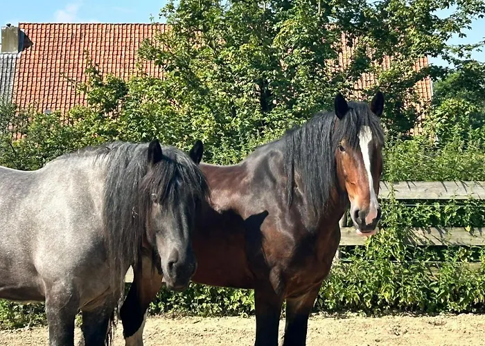 Ferienhaus Natuurhuisje Pmv