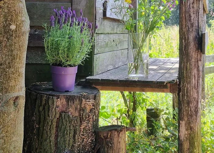 Natuurhuisje Pmv Casa de Férias *