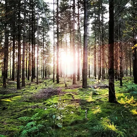 Holiday home Natuurhuisje Pmv