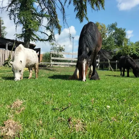 Natuurhuisje Pmv Casa vacanze *