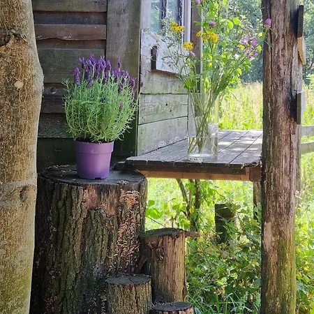 Natuurhuisje Pmv Holiday home *