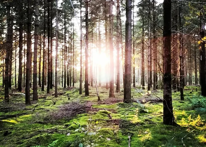 Holiday home Natuurhuisje Pmv