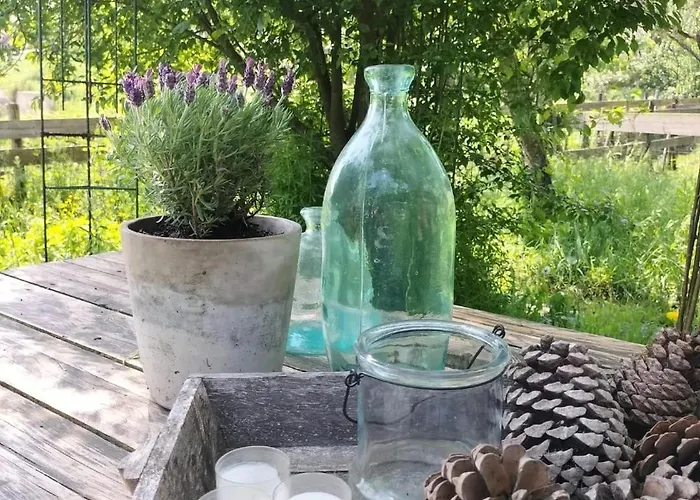 Natuurhuisje Pmv * Hoogeloon