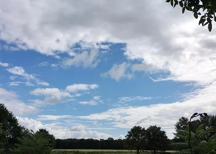 Natuurhuisje Pmv Holiday home