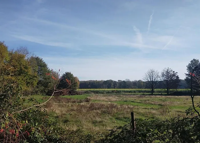 Holiday home Natuurhuisje Pmv Hoogeloon