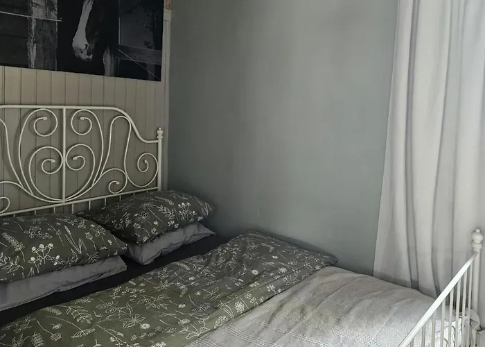 Natuurhuisje Pmv Holiday home Hoogeloon